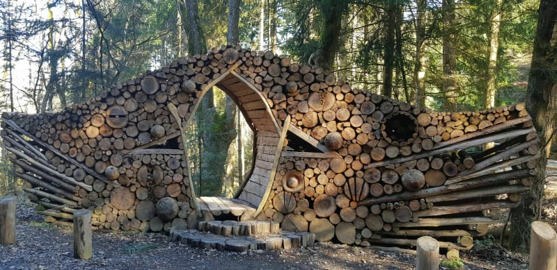 Forêt des expériences à La Cantinière - La Cantinière, Chambost