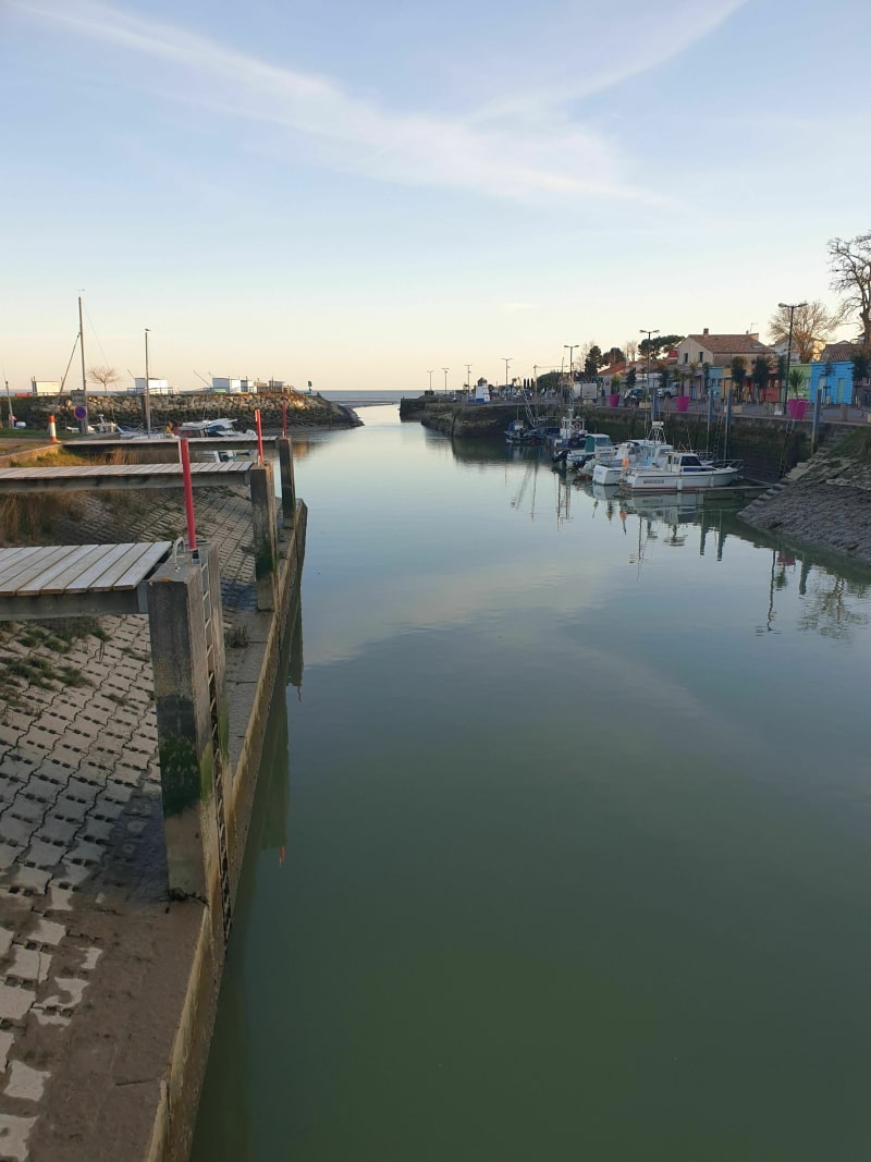 Entre village et océan - Meschers-sur-Gironde