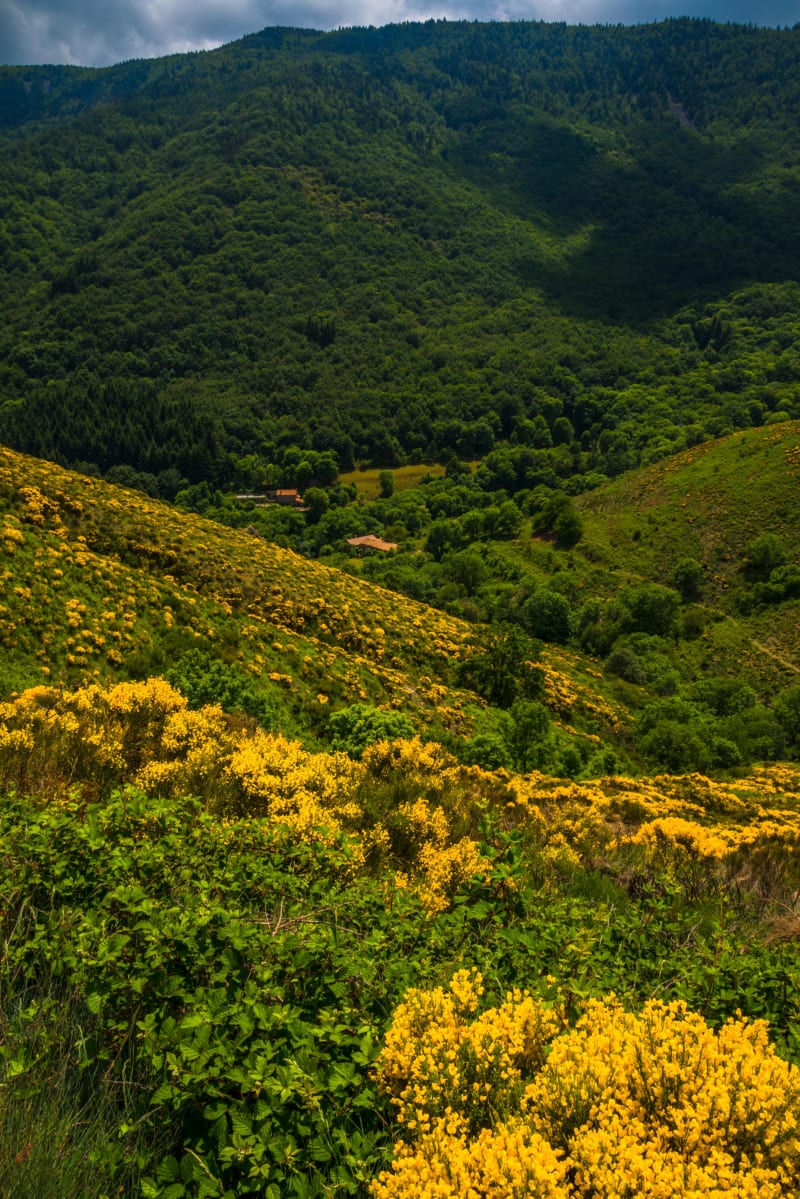 Le Sentier des Ferjasses - Valgorge