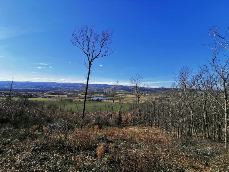 Montverdun au soleil - Montverdun