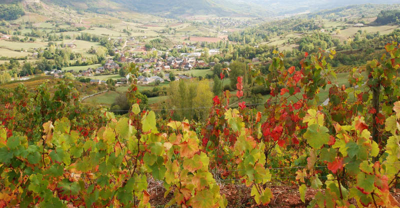 Excursion pédestre entre vignes et causse - Clairvaux-d'Aveyron