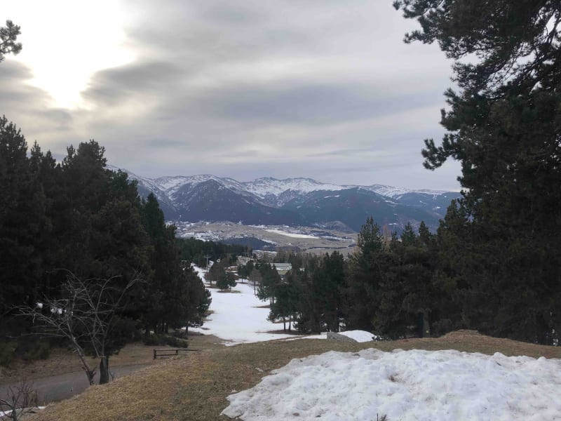 Tour du Golf de Font-Romeu aux chants des oiseaux - Font-Romeu