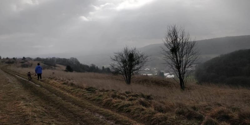Aux alentours de Saulny - Saulny