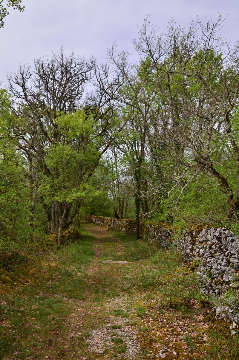 Le tour des moulins de Lamothe - Lamothe-Fénelon