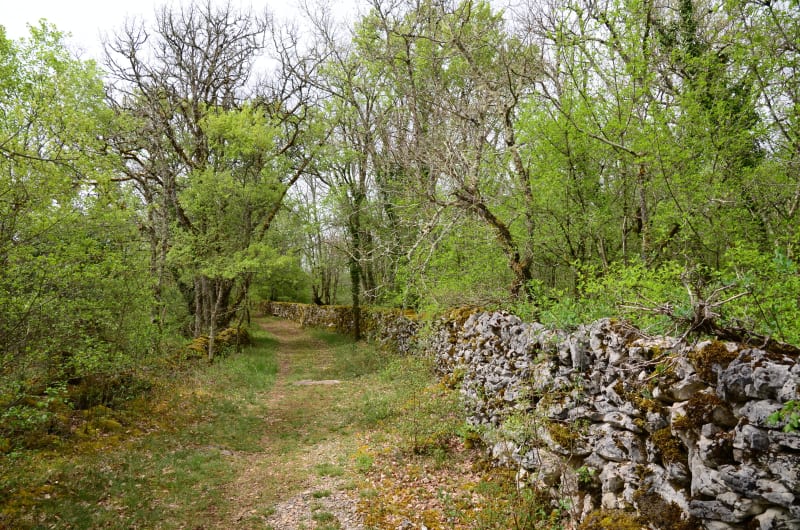 Le Causse à un vol d'abeille - Montamel
