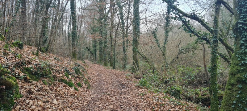 Boucle de Noyal Muzillac - Noyal-Muzillac