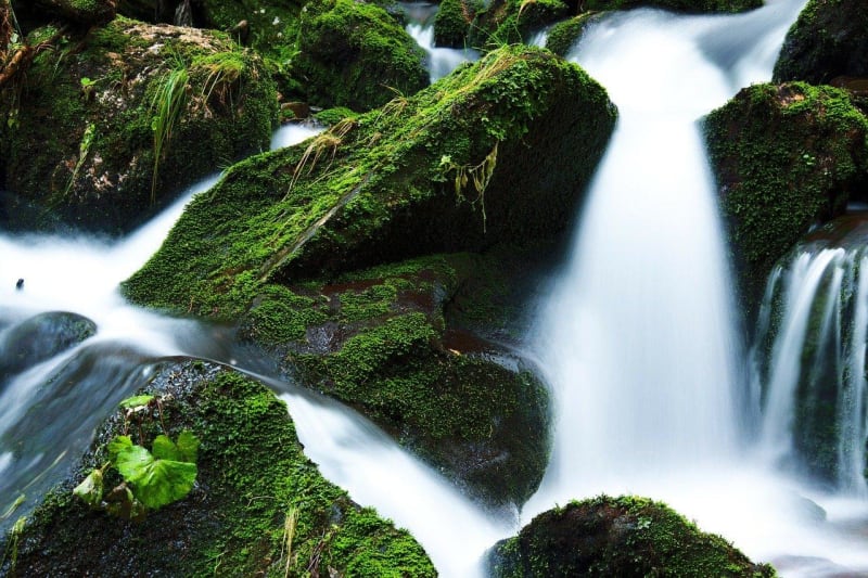 Devèz-waterval en Aubrac-bos - Curières