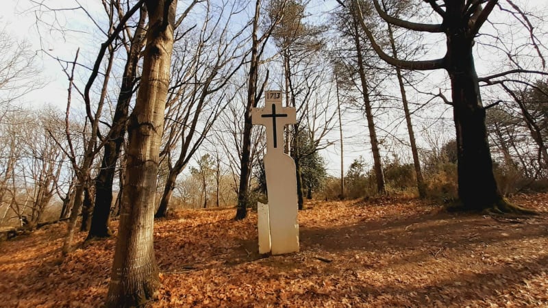 Forêt d'Ustaritz - Ustaritz