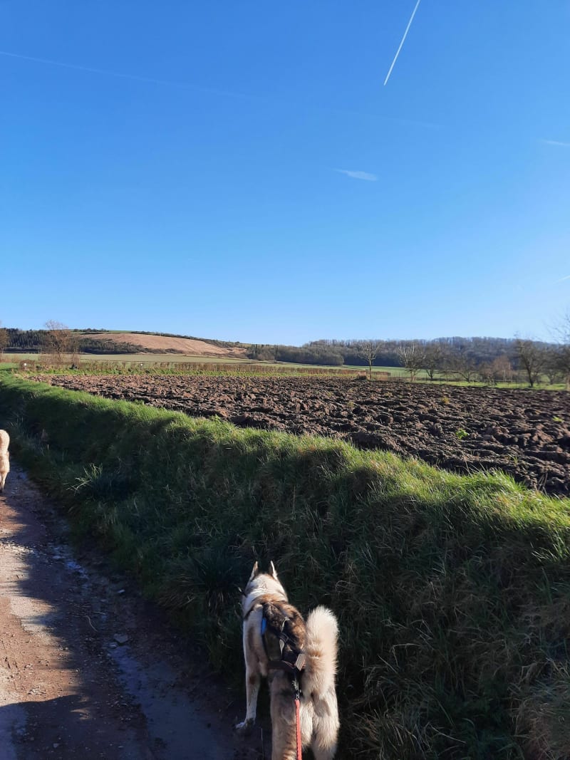 Randonnée sur le Mont de la Comté et ses environs - Beugin