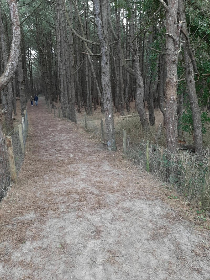 La dune de Royan à Quend-Plage - Quend