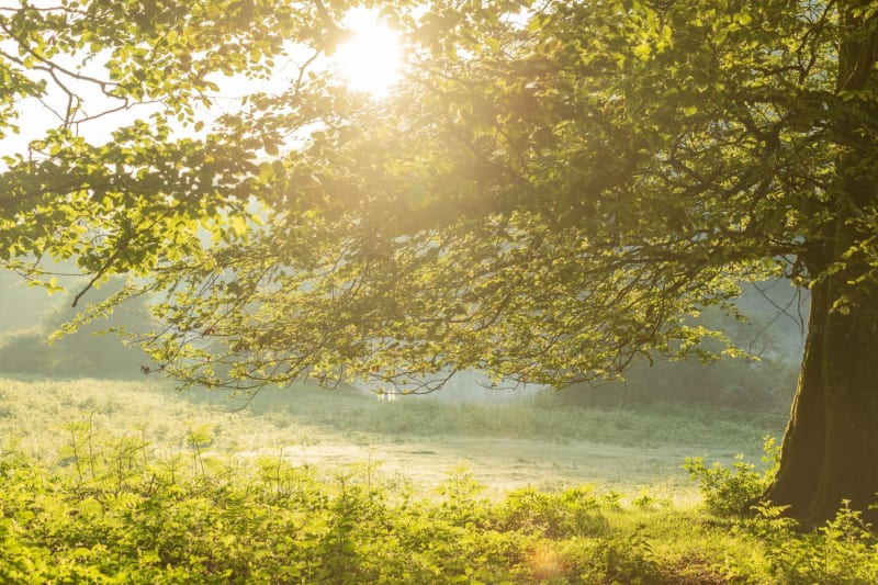 Een kleine ontdekking van het Pays les Monts de Guéret - Bussière-Dunoise