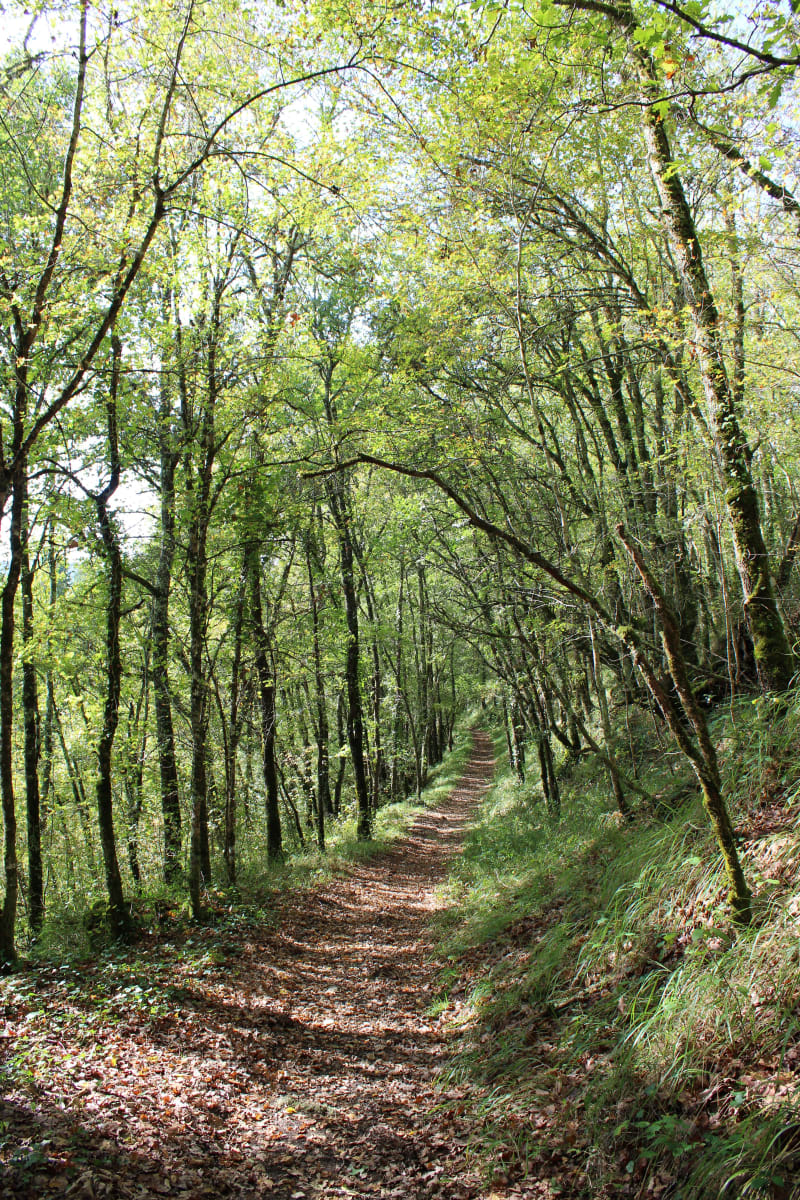 Balade féline les vallons de Catus - Catus