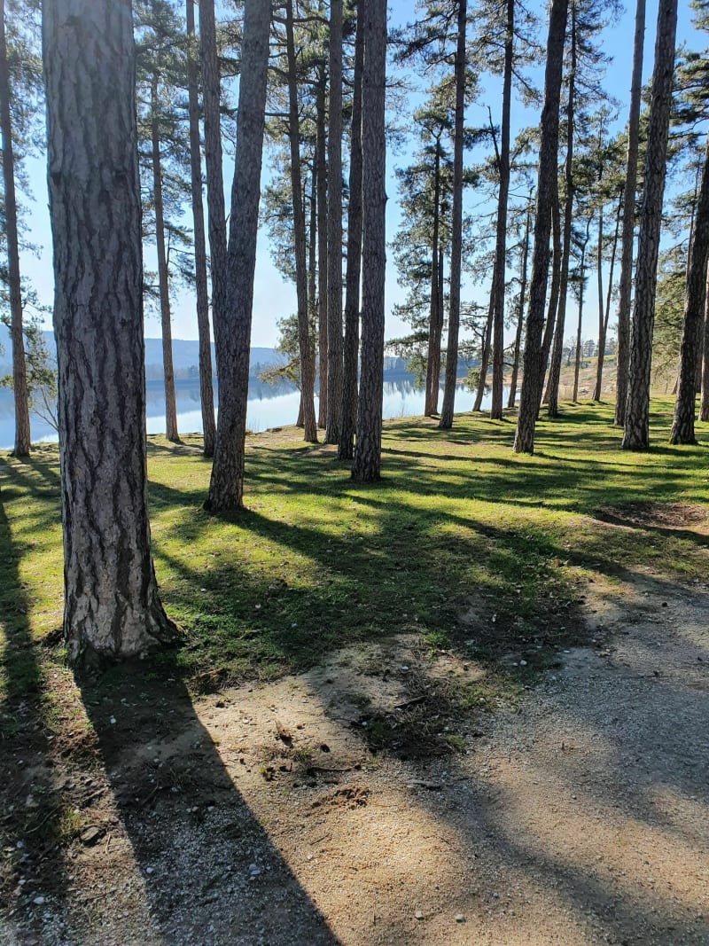 Lac de Saint-Ferréol - Saint-Ferréol
