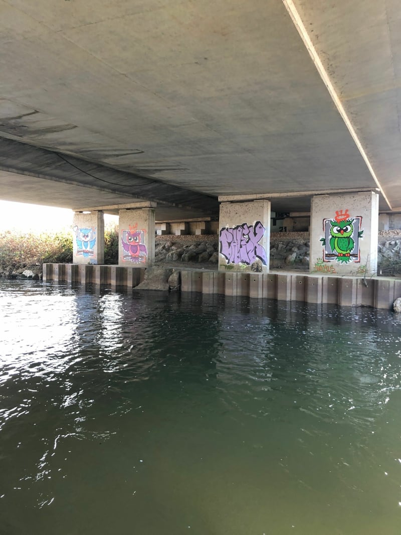 Promenade long de l’Ouche de Neuilly-les-Dijon à Fauverney - Neuilly-Crimolois