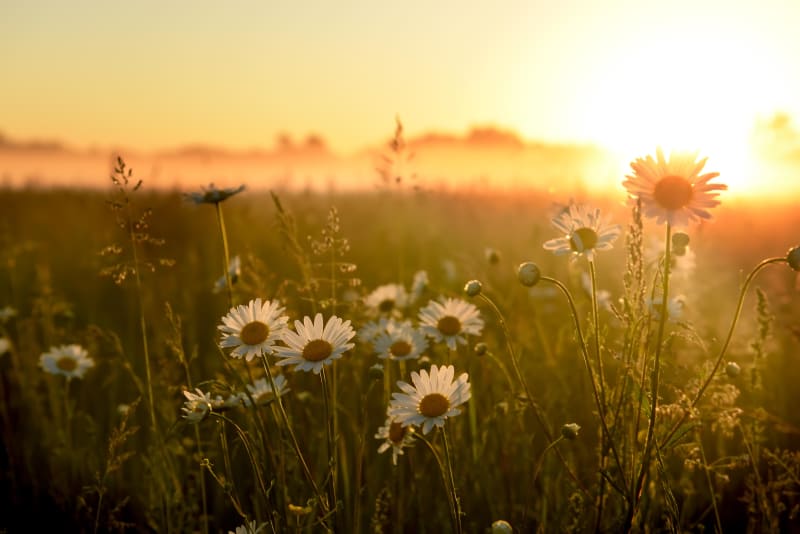 Tour de Combraille et bulle de nature - Viersat