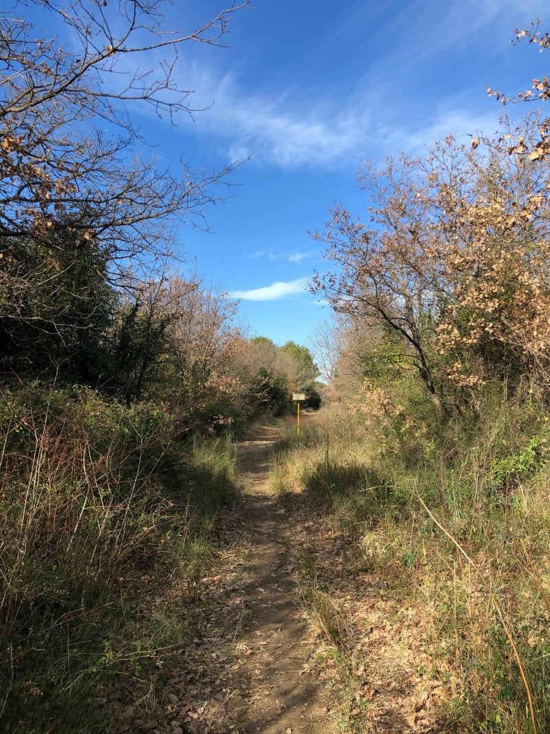 Ners - Pequine - Martignargues - Ners