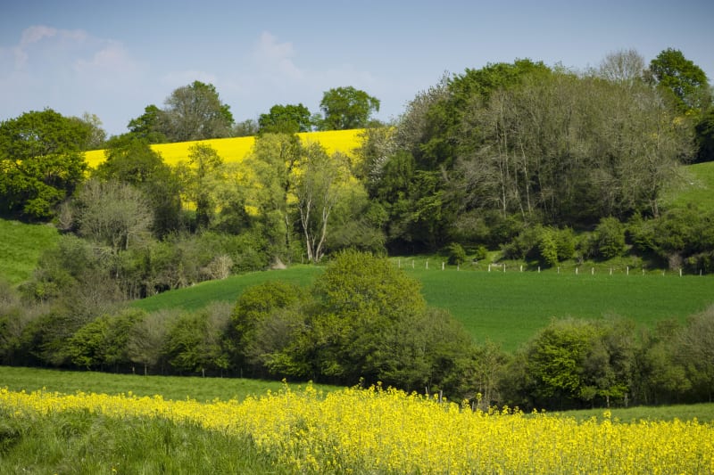Se mettre au vert à Bazelat - Bazelat