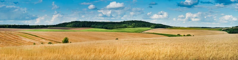 Balade champêtre sur un plateau - Thérondels