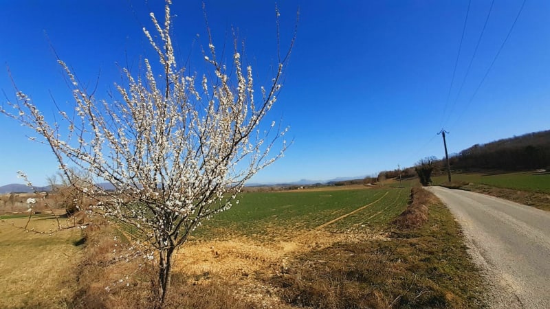 Sous le ciel azur de la Drôme Provençale. - Malataverne