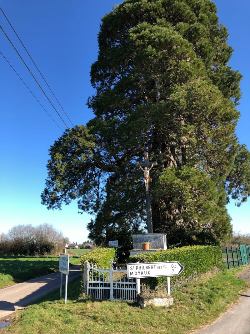 Rando du cœur en Terre d’Auge - Saint-Philibert-des-Champs