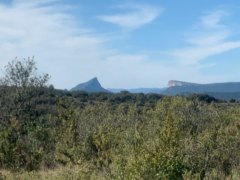 Le Bois de Paris : sa grotte et sa table d’orientation - Garrigues