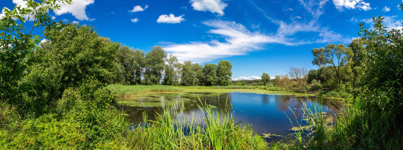 Autour des Etangs de Tête de Bœuf - Lussat