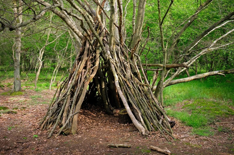 Cabane dans les bois et petites bêtes - Peyrilles