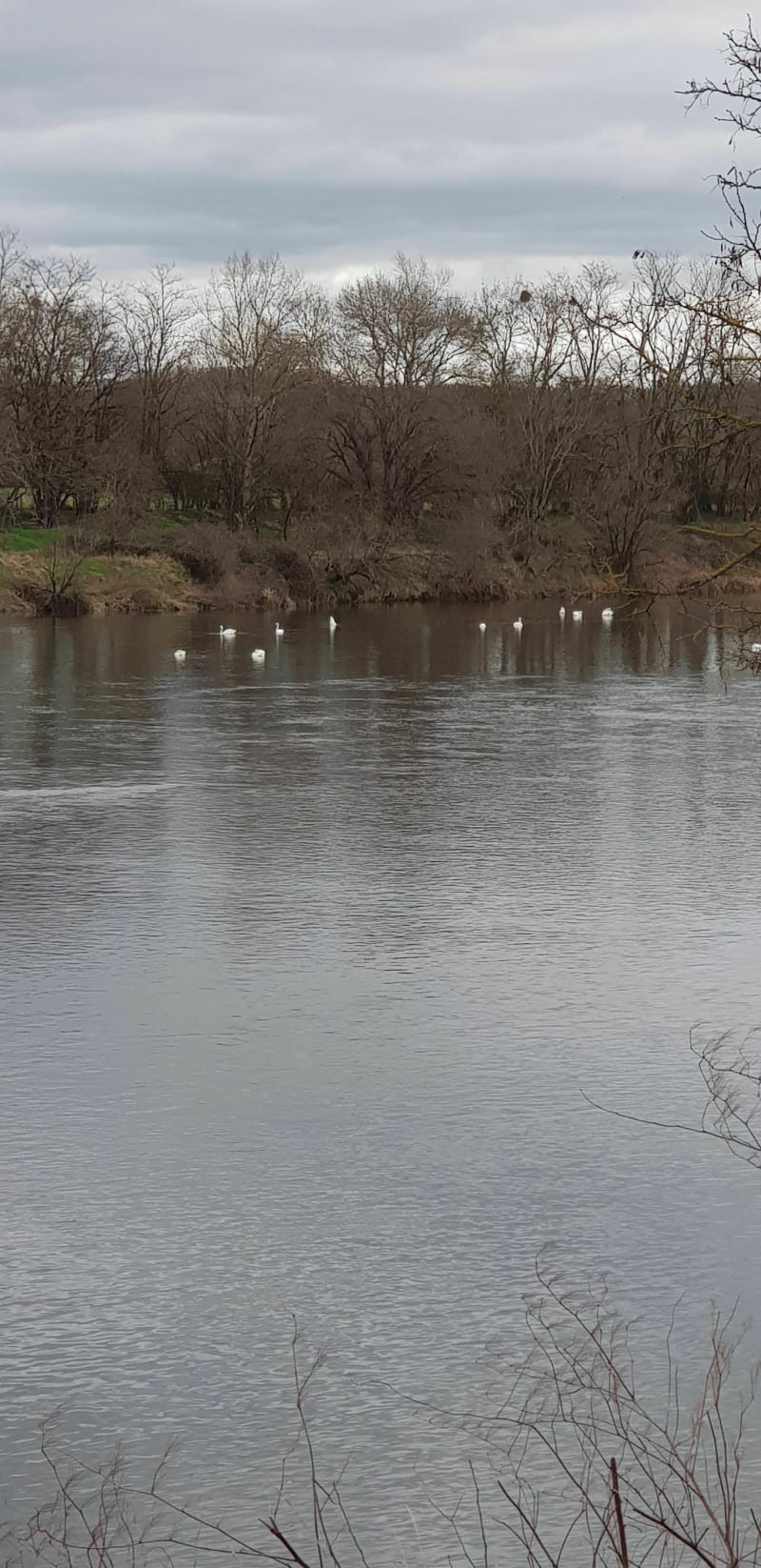 Tour du bord de Loire - Roanne
