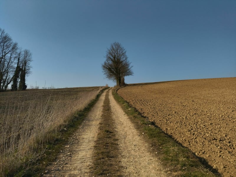 Le Britzgyberg - Illfurth