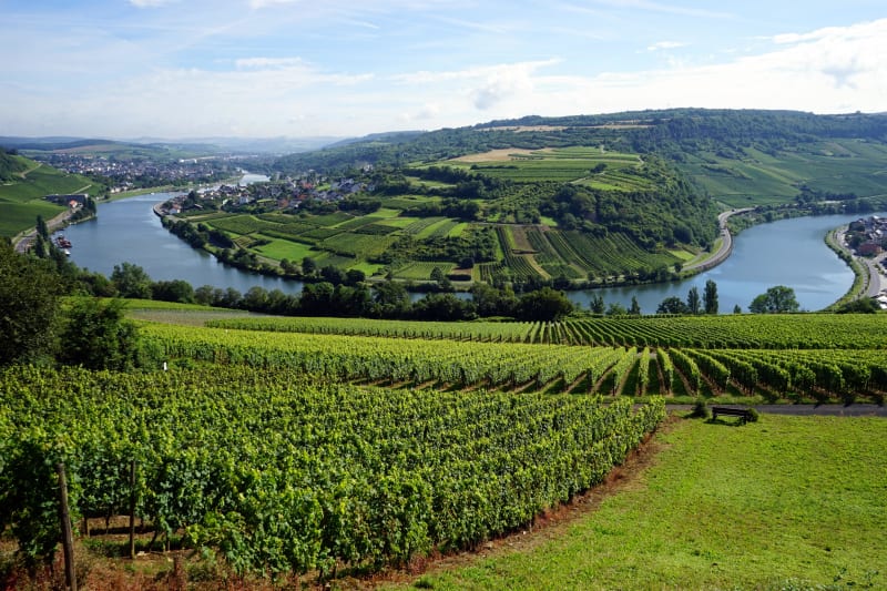 Charmes des bords de la Moselle - Thionville