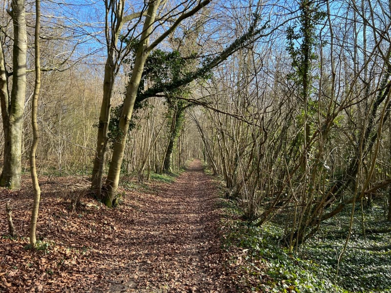 Ballade autour de Beaucourt-sur-l'Hallue - Beaucourt-sur-l'Hallue