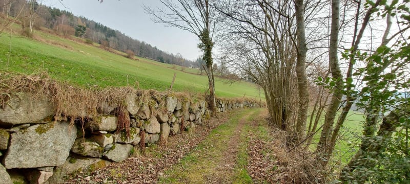 L'ancienne voie romaine de Lapoutroie. - Lapoutroie