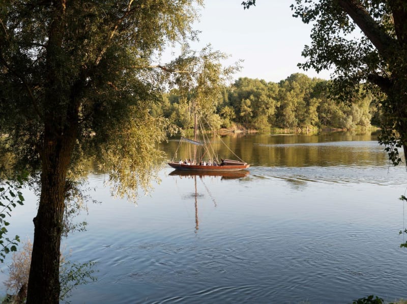 Les bords de Loire à Saint-Rémy-la-Varenne - Brissac-Loire-Aubance