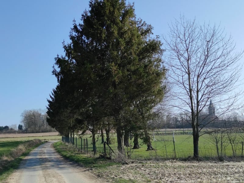 Trois villages autour du Bois de la Garenne - Cantin
