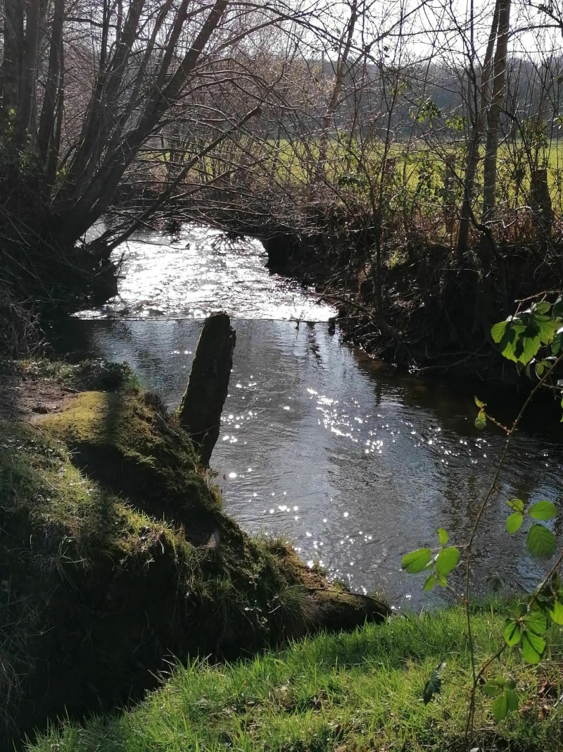 Bagnoles de l'Orne - Bagnoles de l'Orne