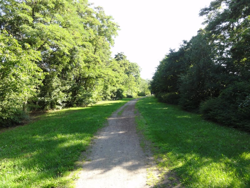 Sur la trace des Cavaliers - Leforest
