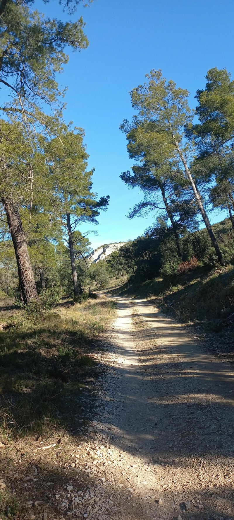 Boucle dans les Alpilles à VTT - Orgon