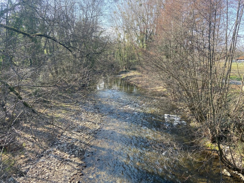 Balade entre vignes, vallons et carrières de pierres dorées - Chessy