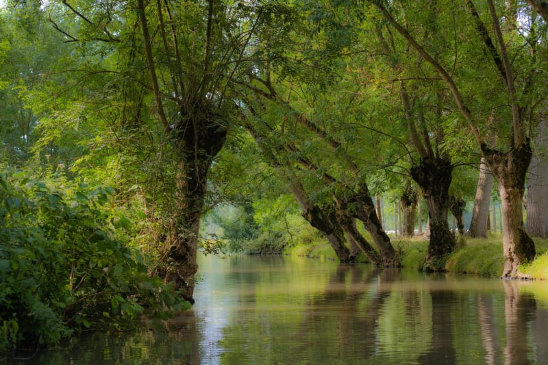 Entre bocage et marais - Sansais