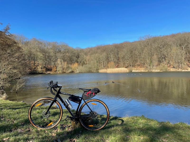 Balade en forêt de Meudon - Paris