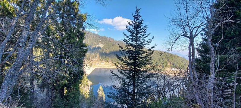 Hautes-Huttes, Lac des Truites et Lac Noir - Orbey