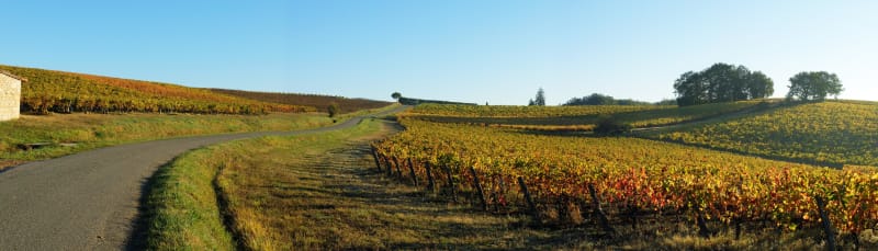 Suivre les chemins blanc jusqu'au ciel - Souel
