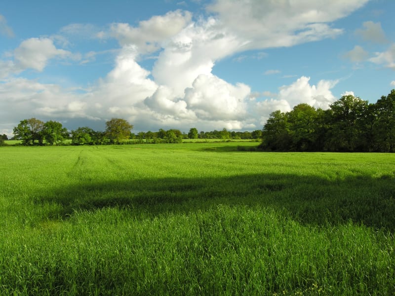 Paradis vert et petits cours d'eau - Vasles