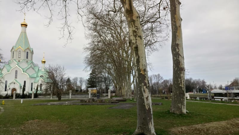 Balade au fil de l'eau - Strasbourg