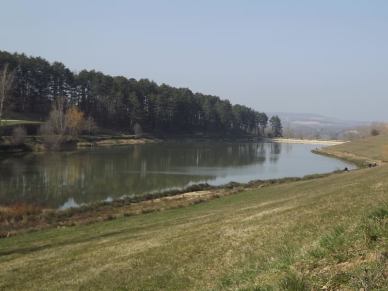 Trois lacs et milles insectes - Graulhet