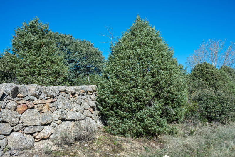 Balade dans les Gras d'Uzer - Uzer