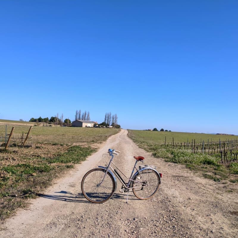 Entre vignes et canal jusqu'au domaine de Bayssan - Béziers