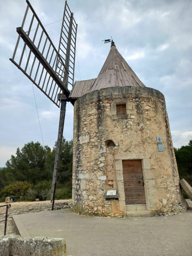 Forêt de Fontvieille - Fontvieille