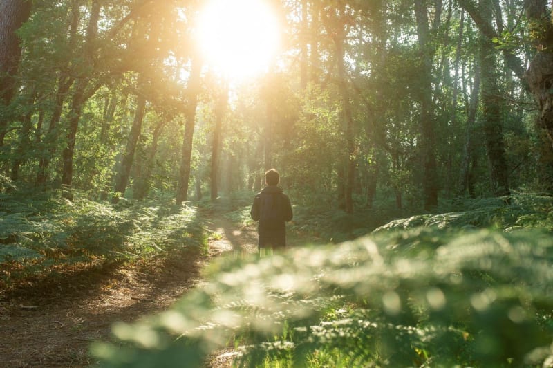 Flâneries forestières au Roc des Hourtous - Rieisse