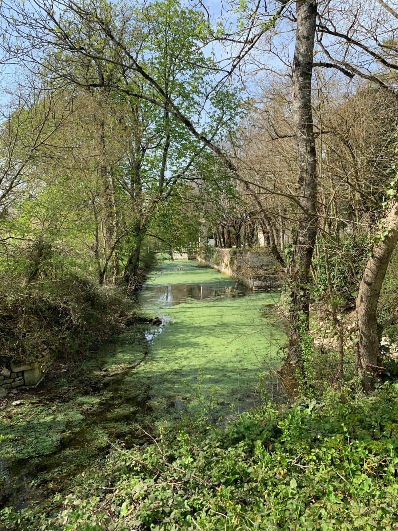 Marche rapide à la Sauzaie, Dompierre et Mouillepieds - Saint-Xandre